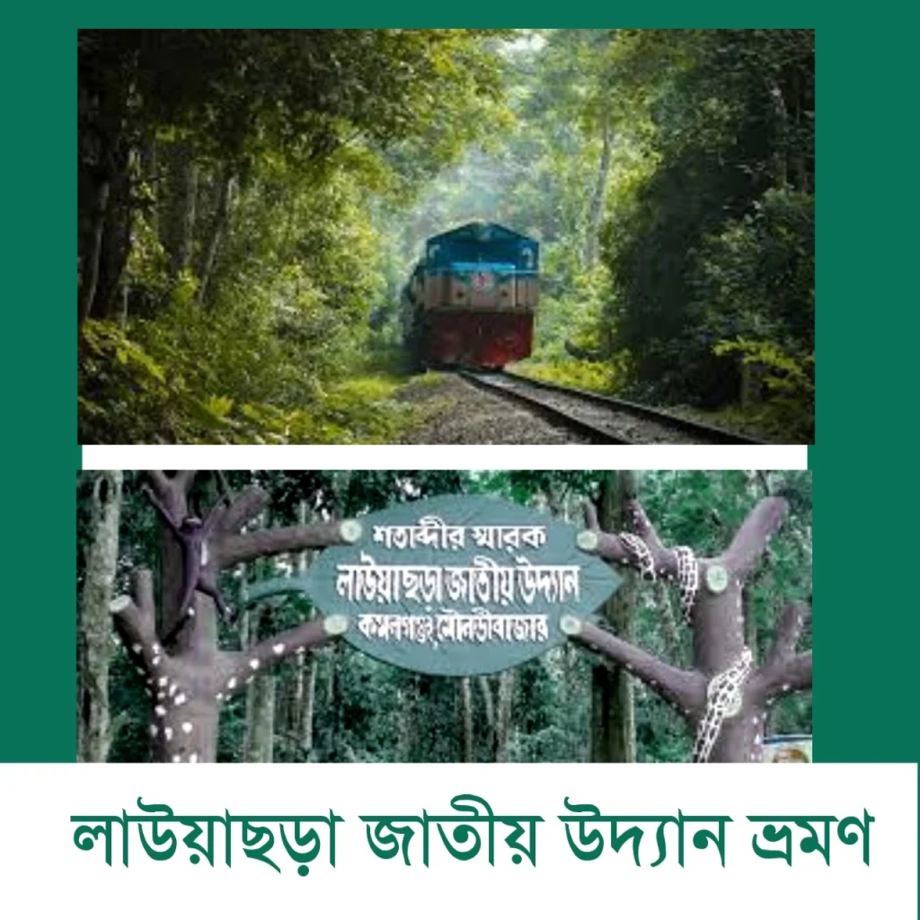 লাউয়াছড়া জাতীয় উদ্যান ভ্রমণ,লাউয়াছড়া জাতীয় উদ্যান প্রবেশ ফি,লাউয়াছড়া জাতীয় উদ্যান কোথায়,লাউয়াছড়া জাতীয় উদ্যান ছবি,