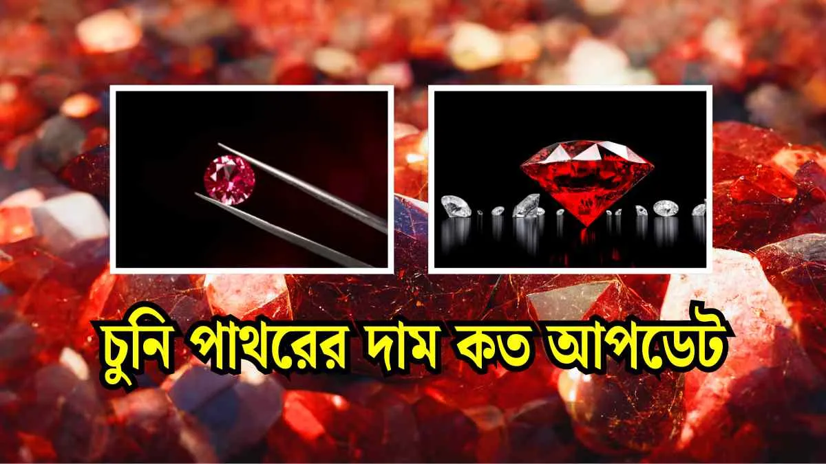 চুনি পাথরের দাম কত।