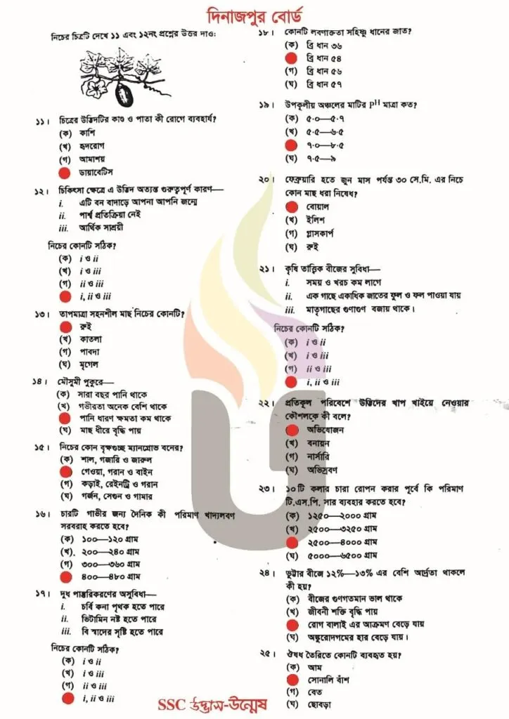 SSC কৃষি শিক্ষা mcq 2025 Solution Dinajpur Board 2 SSC কৃষি শিক্ষা mcq 2025 Solution Dinajpur Board এর সলুশন।