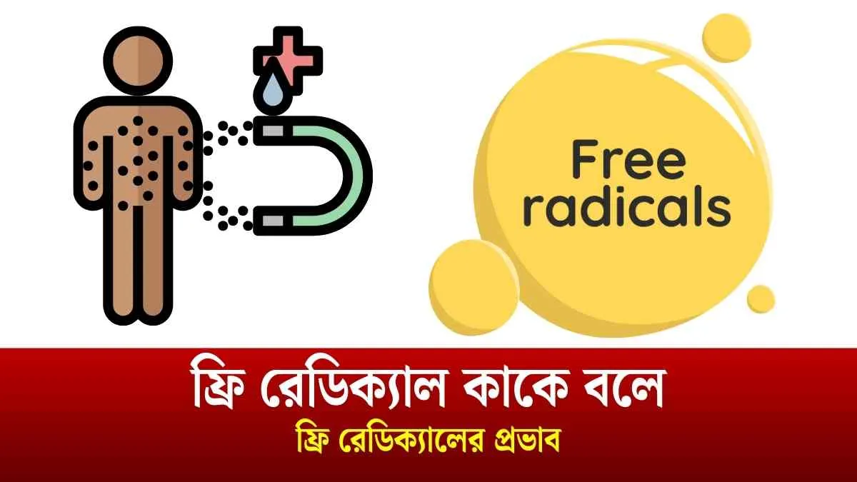 ফ্রি রেডিক্যাল কাকে বলে।ফ্রি রেডিক্যালের প্রভাব।