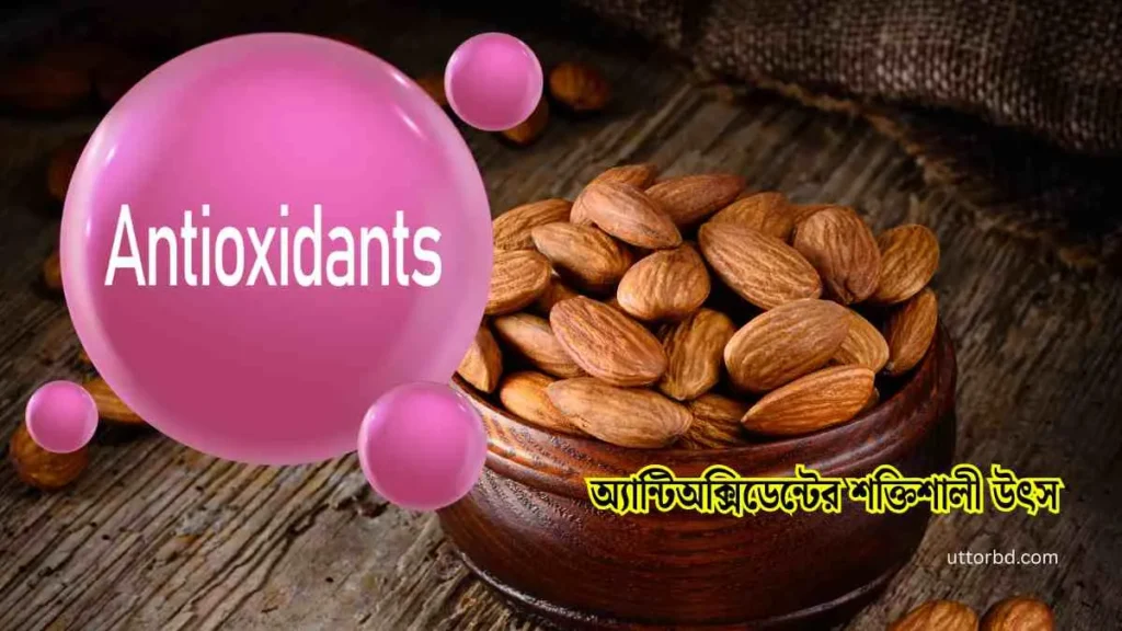 কাঠবাদাম খাওয়ার নিয়ম। কাঠবাদাম এর উপকারিতা সম্পর্কে তথ্য। 1 অ্যান্টিঅক্সিডেন্টের শক্তিশালী উৎস এটি
