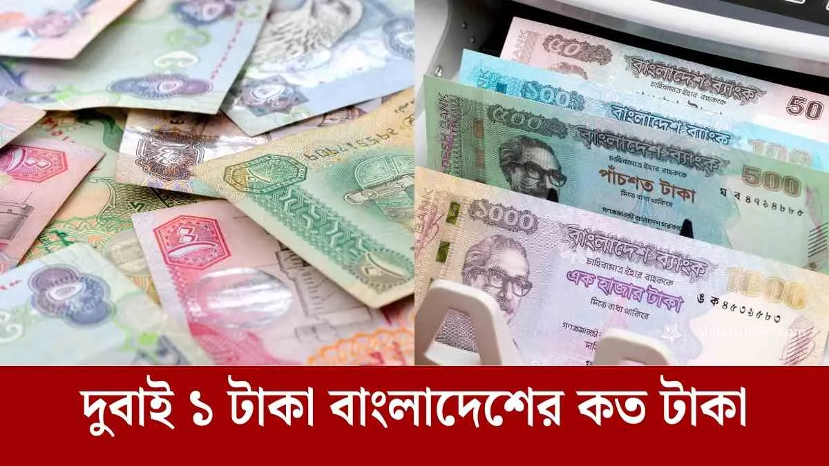 দুবাই ১ টাকা বাংলাদেশের কত টাকা আজকের রেট