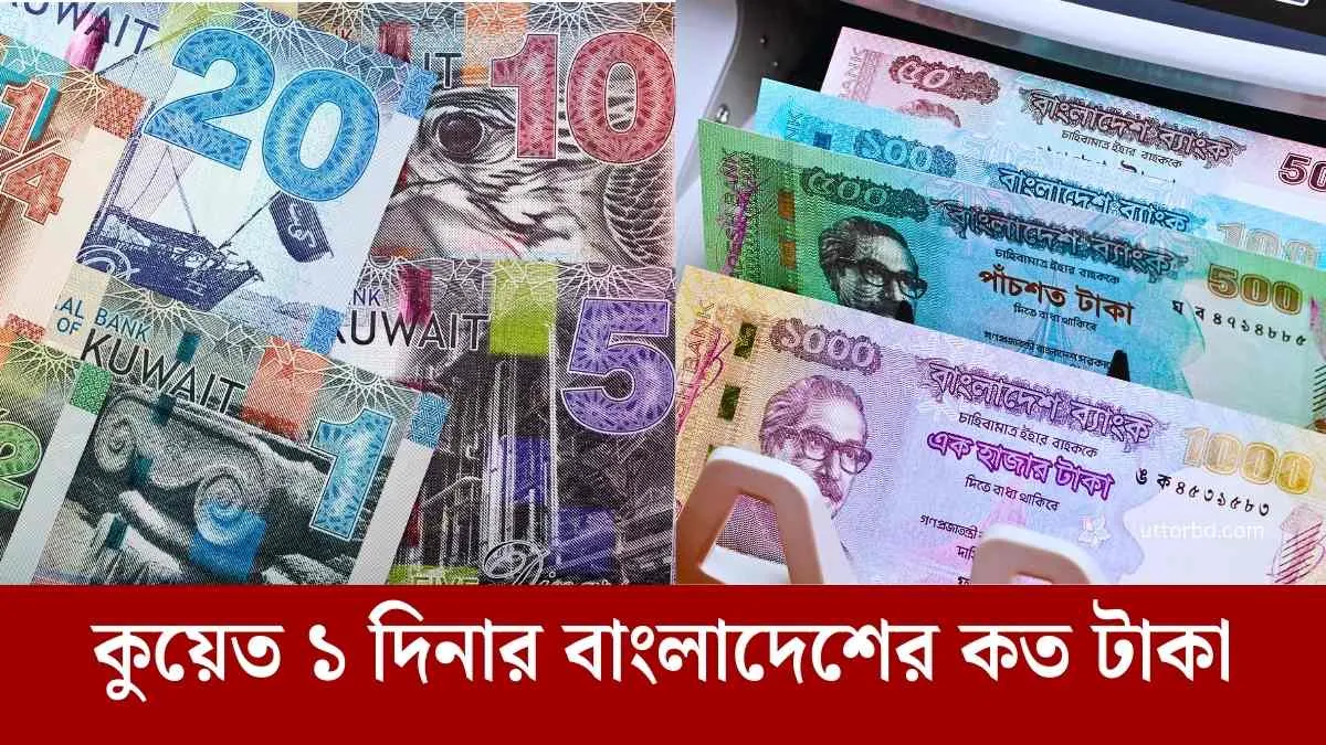 কুয়েত ১ দিনার বাংলাদেশের কত টাকা জানুন।