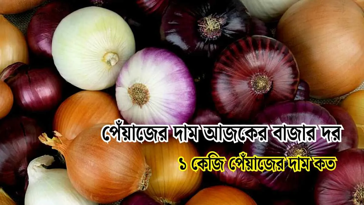 ১ কেজি পেঁয়াজের দাম কত। পেঁয়াজের দাম আজকের বাজার দর।